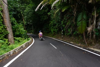 A motorcycle speeding down a winding road surrounded by lush greenery.