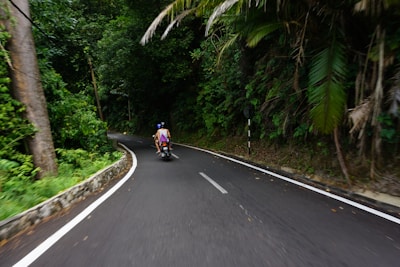 A motorcycle speeding down a winding road surrounded by lush greenery.