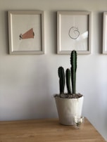 A minimalistic interior scene features a small wooden table with a tall potted cactus in a white pot placed on it. Above the table, two framed abstract artworks hang on a light gray wall. One artwork depicts two figures pushing a large pink triangle, while the other is a simple black line drawing resembling a face. A small glass cup with an air plant is beside the cactus.