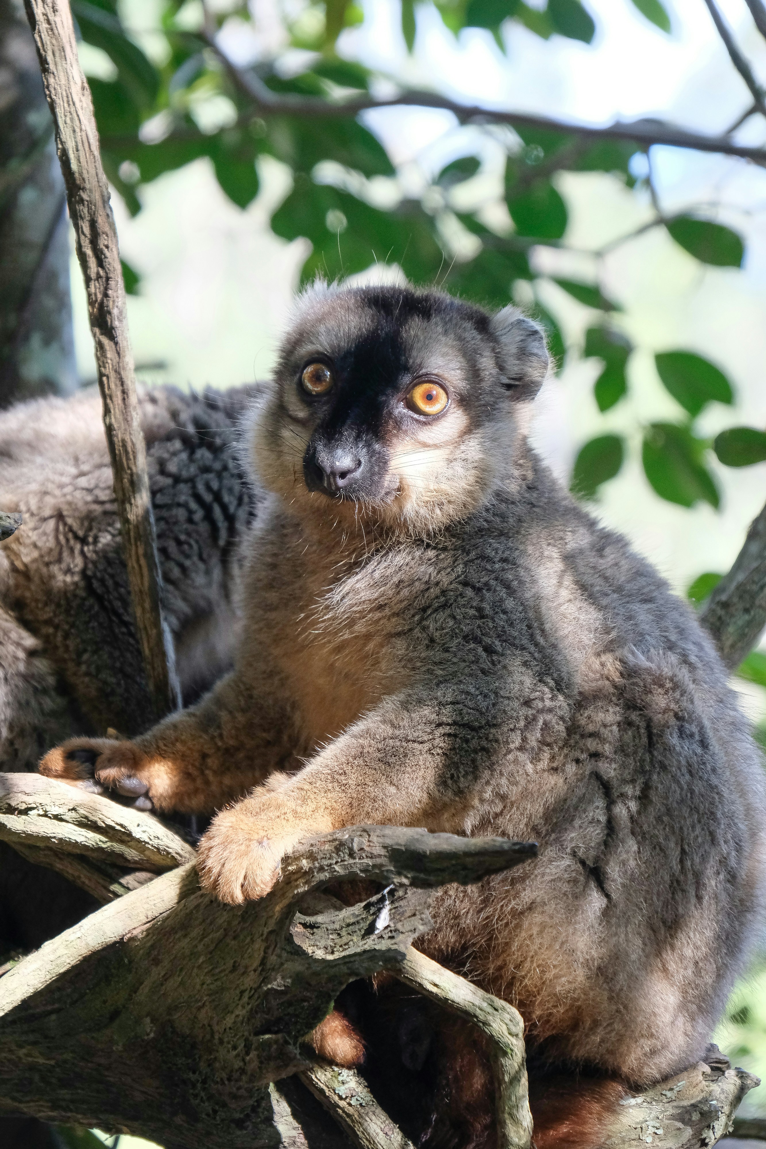 Photo by yogidan2012