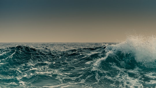 photo of Catania Surfing near Parco dell'Etna