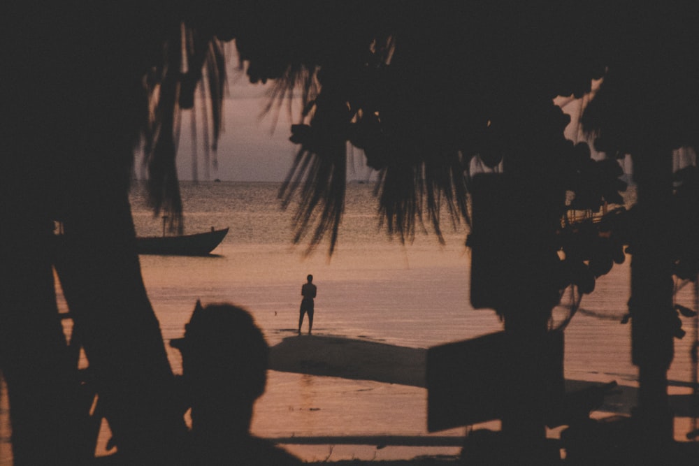 silhouette of person standing on seashore