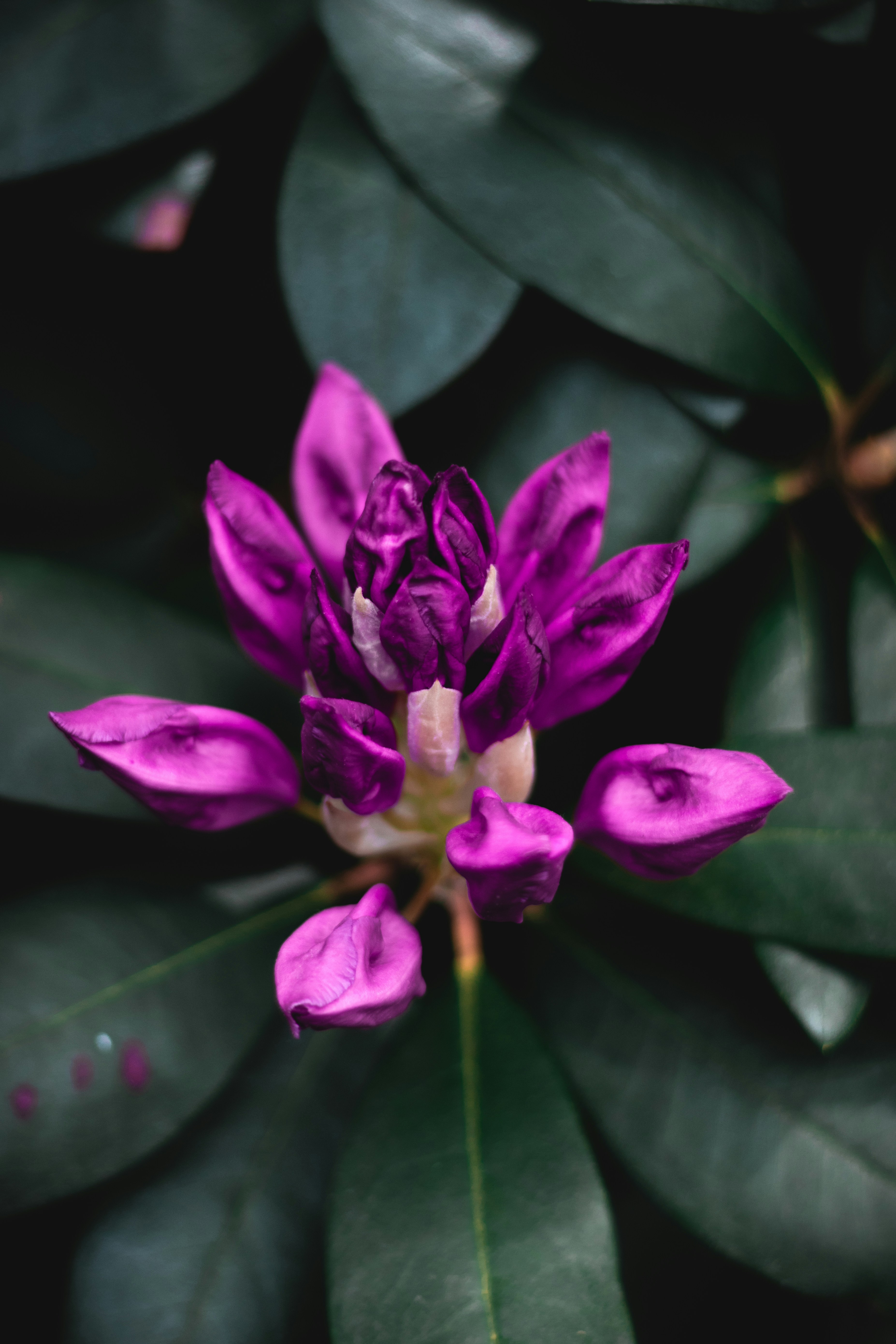 Photo by jackward