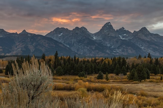 mountains and trees in Grand Teton National Park United States