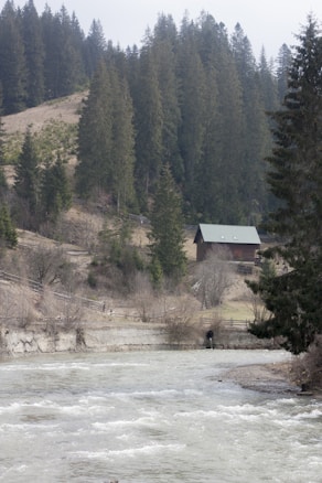 A serene landscape featuring a fast-flowing river in the foreground winding through the scene. A solitary wooden cabin with a green roof is nestled against the backdrop of a dense forest of tall evergreen trees. The trees are lush and towering, suggesting a peaceful and secluded woodland area. The atmosphere is tranquil and natural, emanating a sense of rustic simplicity.