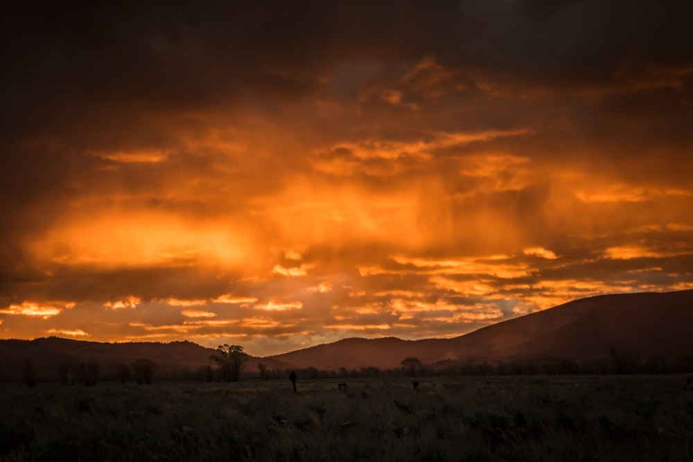 sunset over the horizon