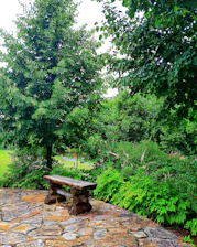 A wide garden area with rustic wooden benches surrounded by lush greenery and wildflowers.