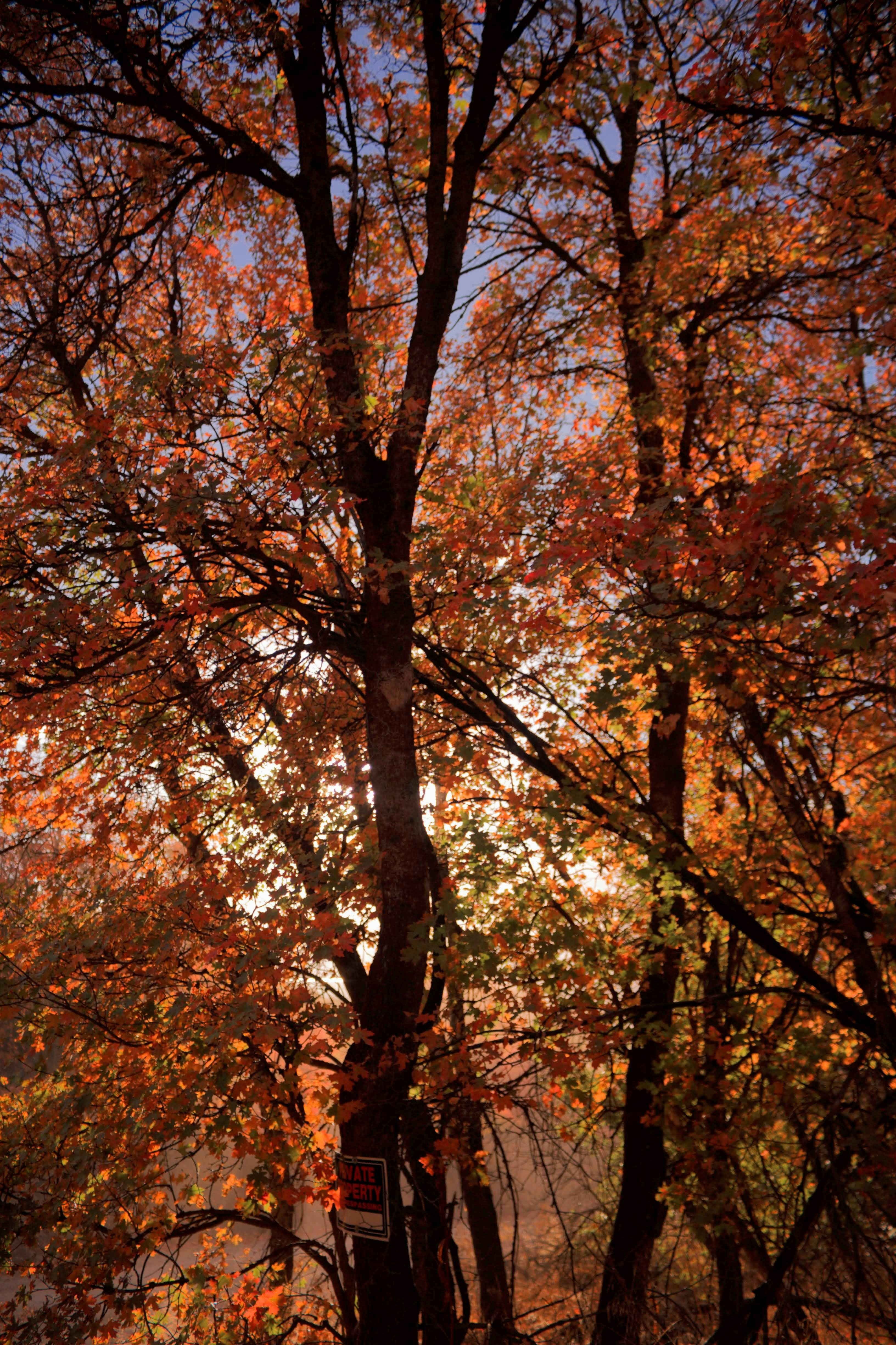 Photo by joshua_hoehne