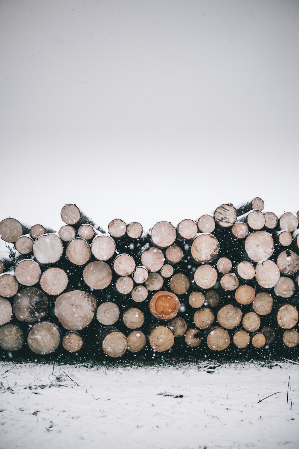 pila de troncos de madera