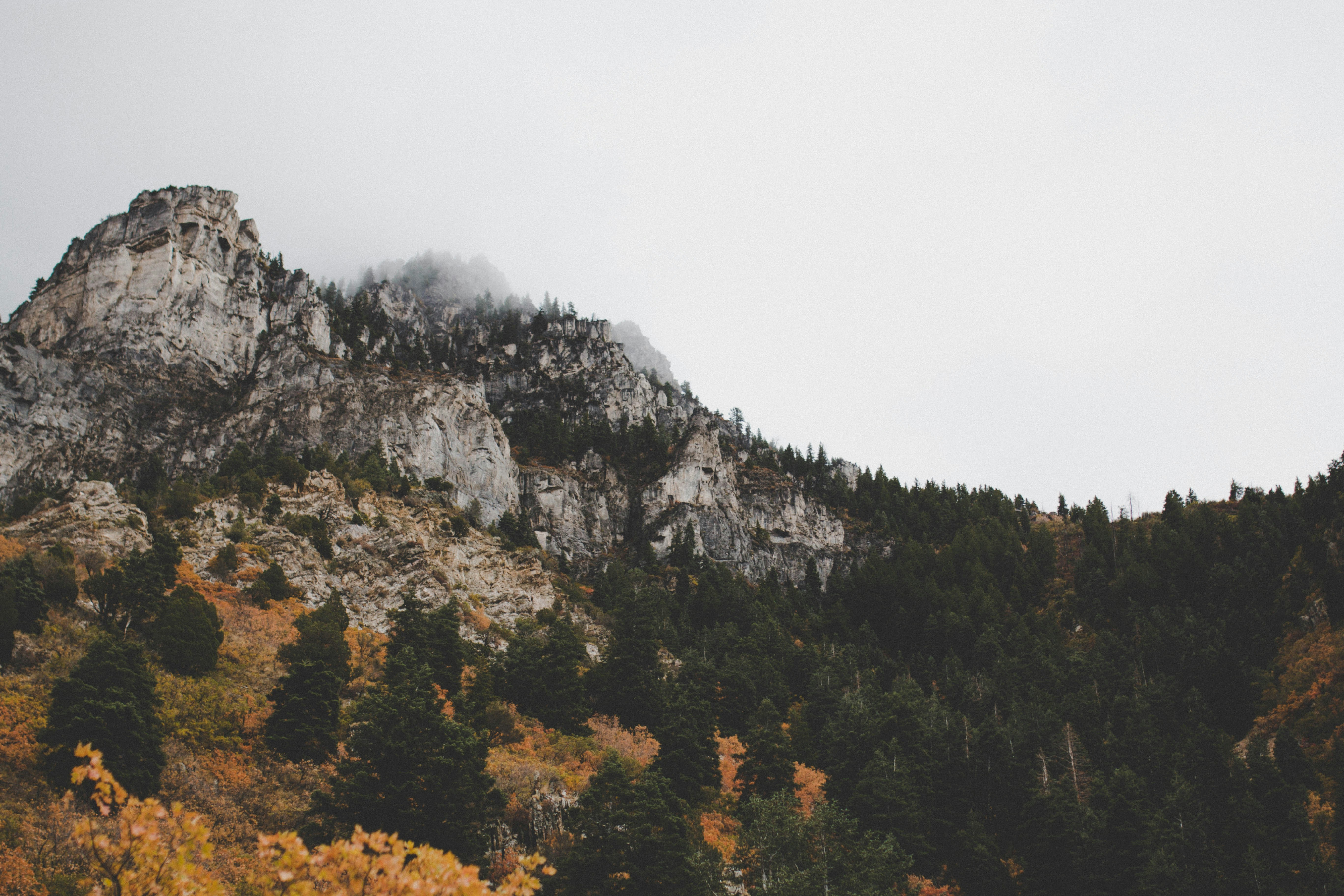 Photo by devjustesen