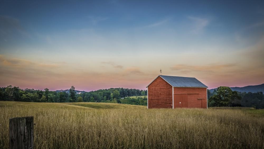 red barn house surrounded with trees during golden hour