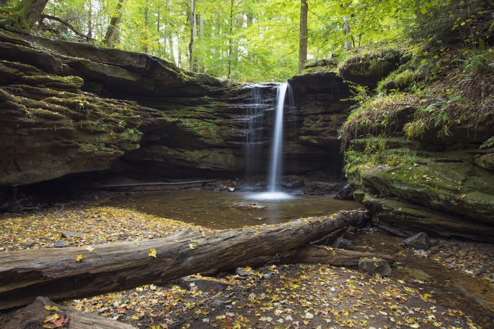 waterfalls surrounded by trees at daytime