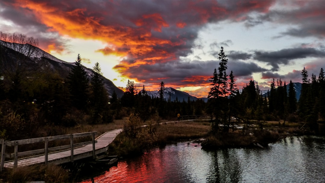 Lake photo spot Canmore Improvement District No. 9