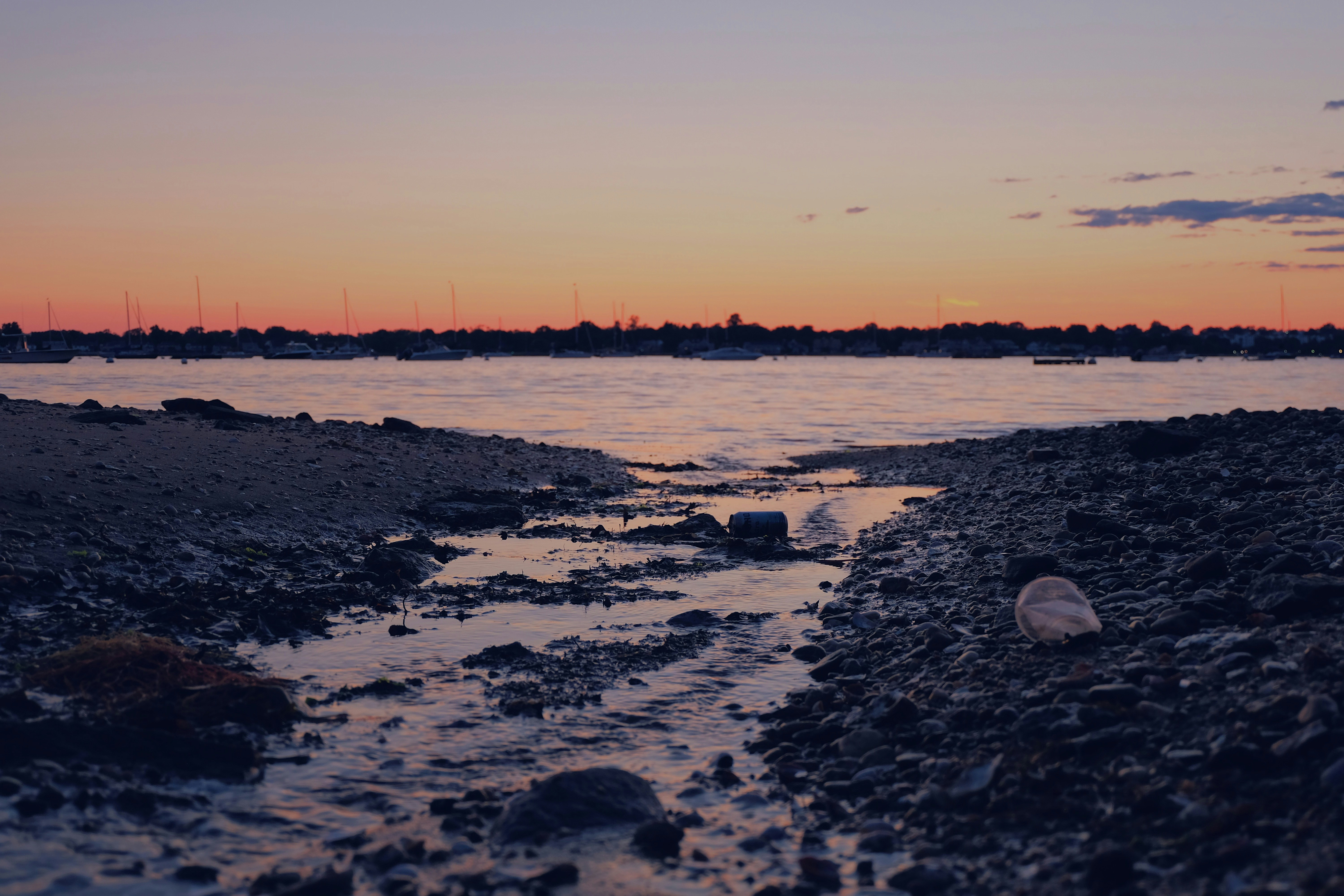 silhouette photography of shore during sunset