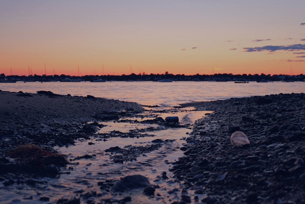 silhouette photography of shore during sunset