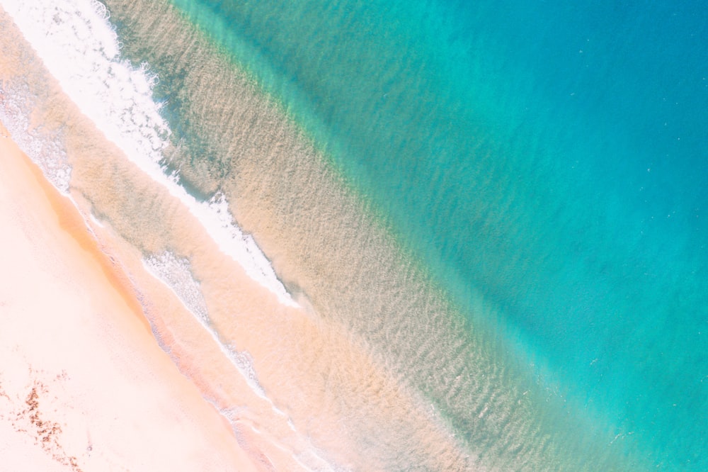 aerial photography teal body of water and shore