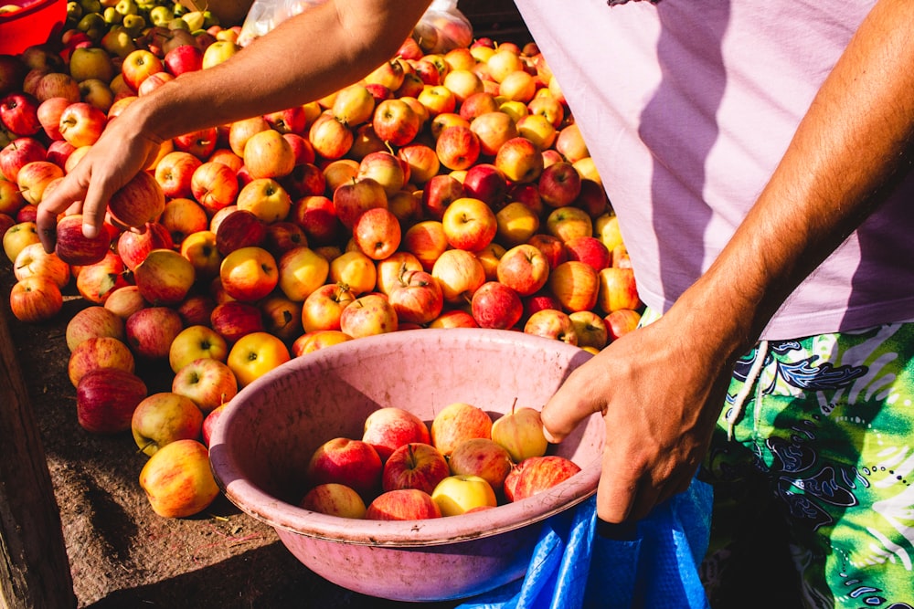 personne tenant un bassin avec des fruits de pomme