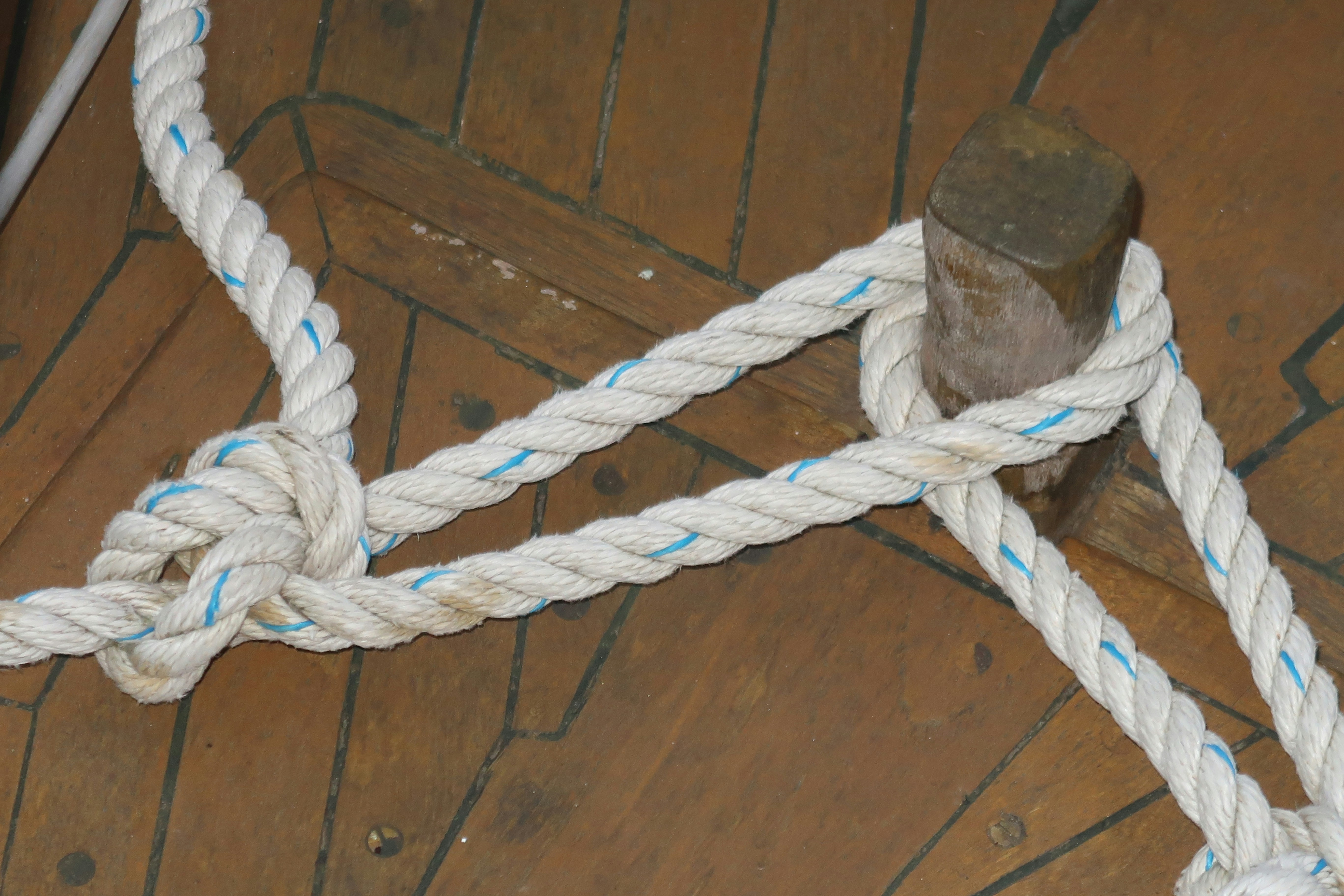 photo 1538740693047 20e101254ce9?ixlib=rb 4.0