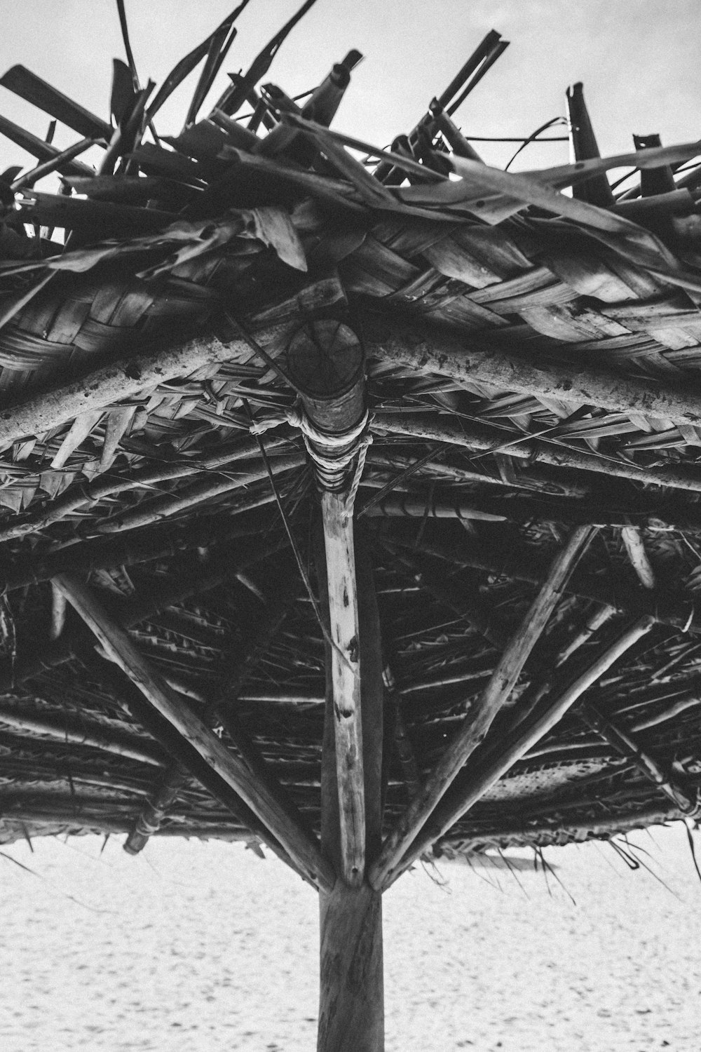 grayscale photo of nipa hut