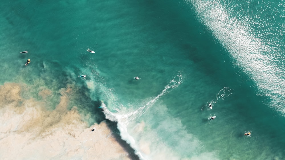 aerial photography of shore
