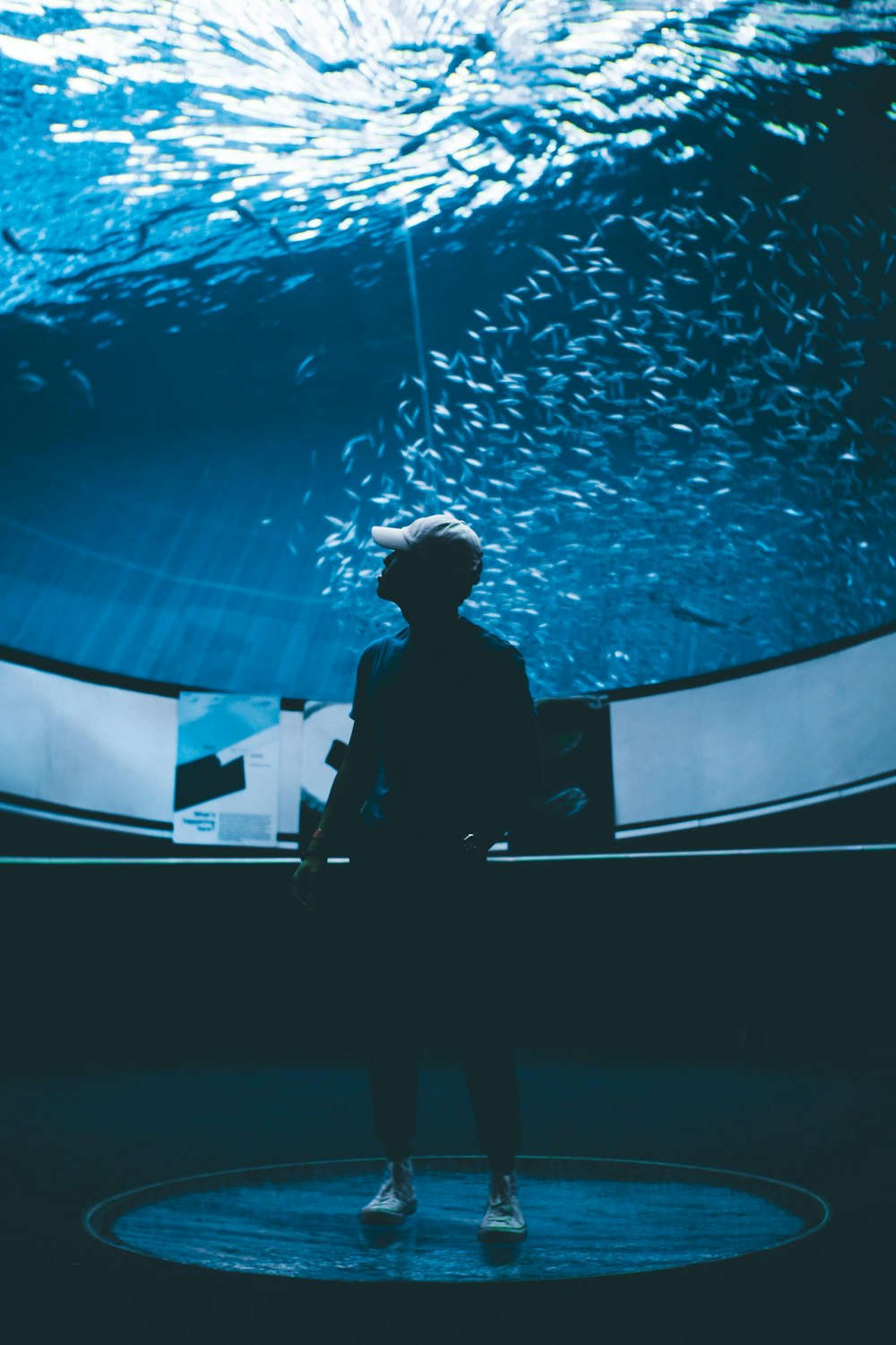 man wearing curved-brim cap inside the aquarium