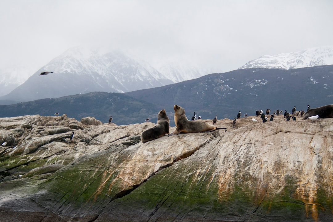 Hill photo spot Canal De Beagle Argentina