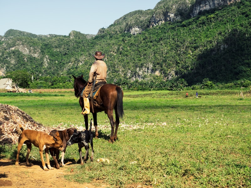 Viñales Valley