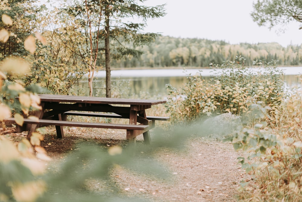 picnic table near body of water