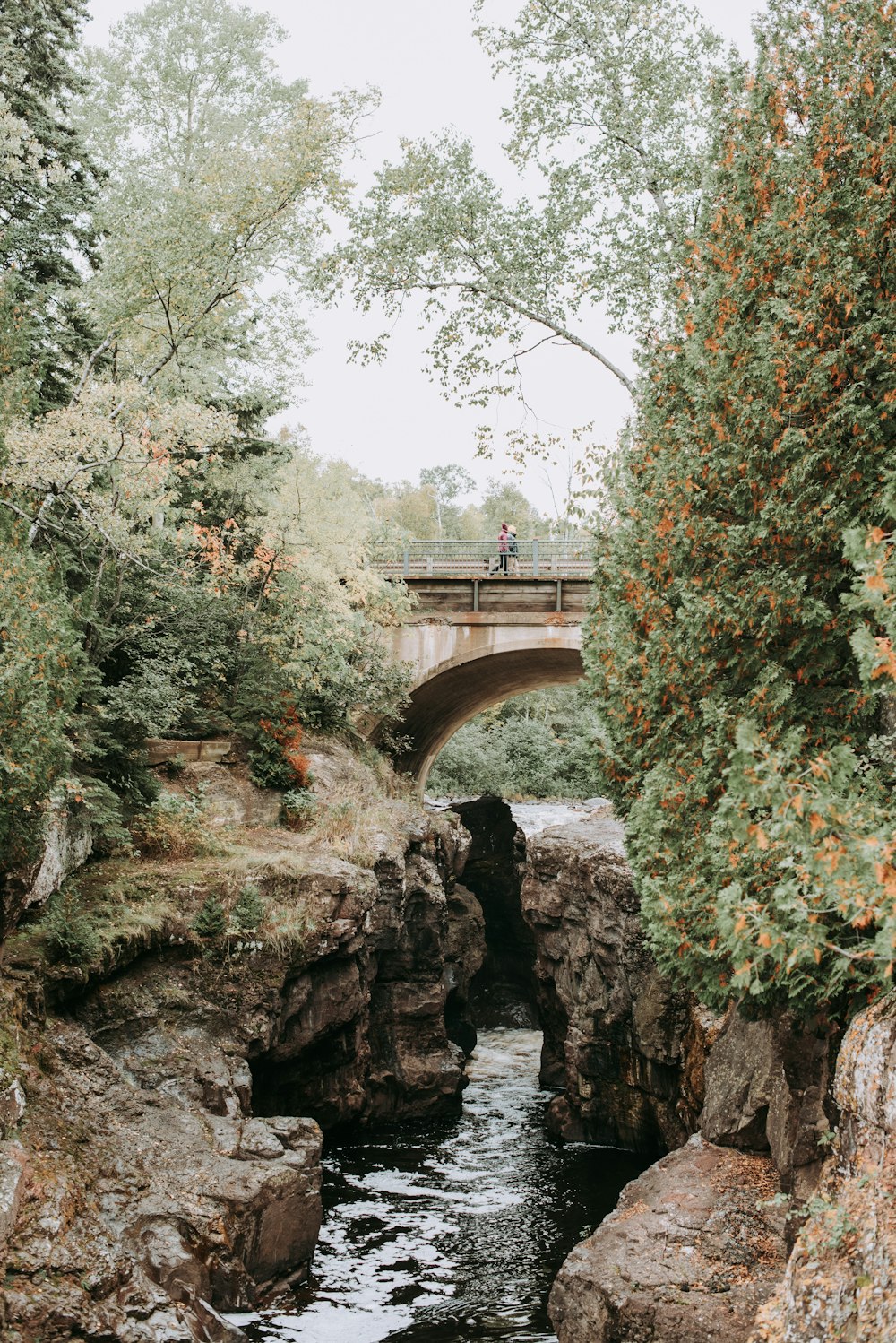 grey concrete arch bridge between trees