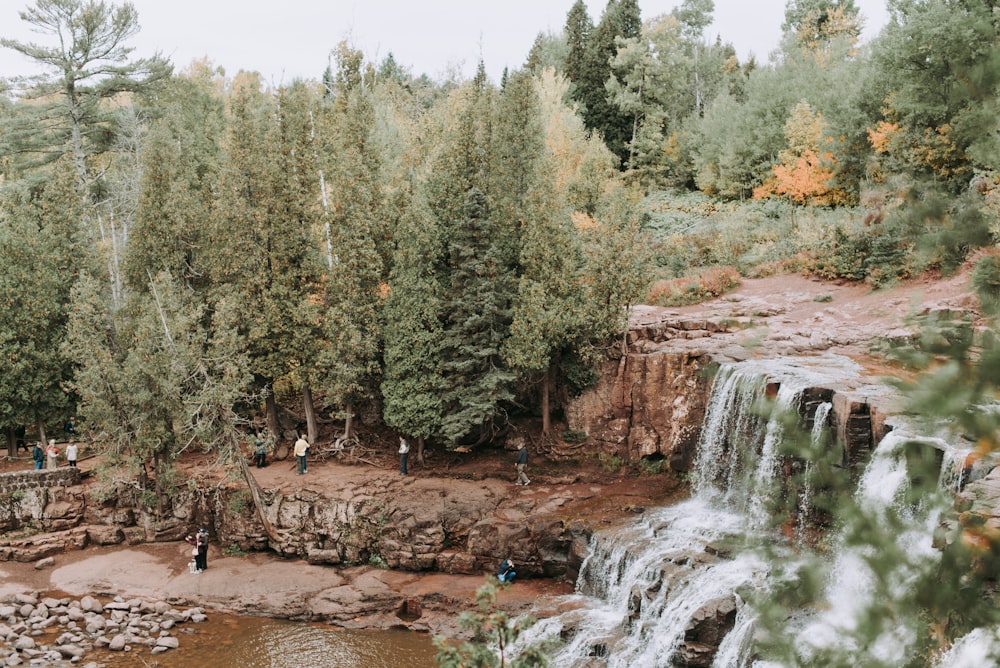 grün belaubte Bäume und Wasserfall tagsüber