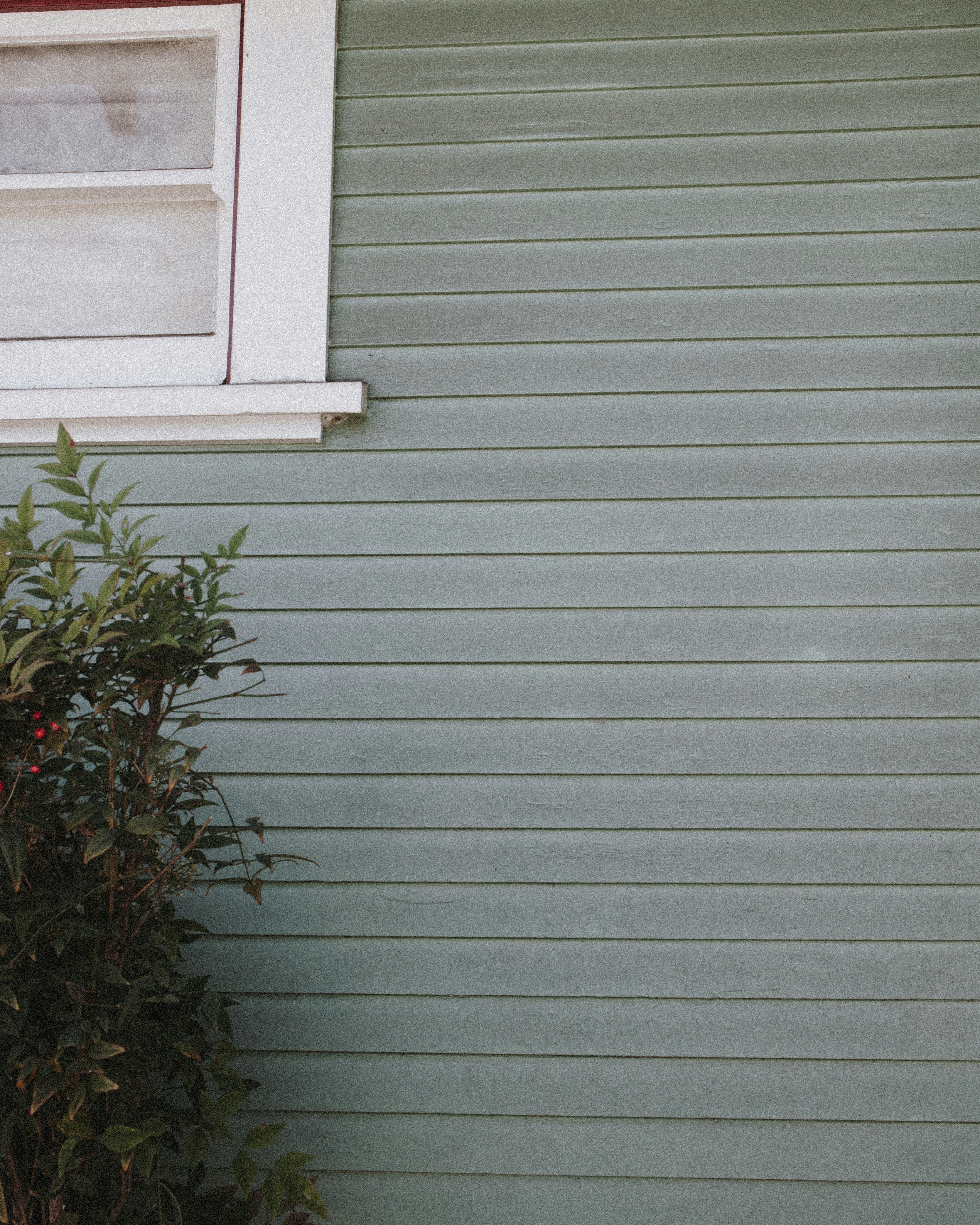 Photo by michaelpetrila