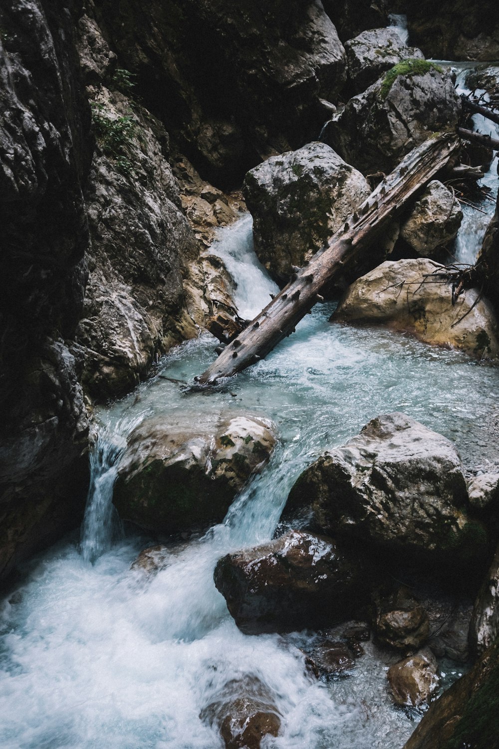 log on river during daytime