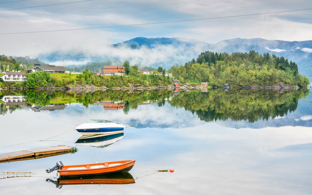 boats near trees