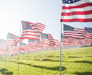 flag of America lot on grass field