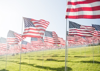 flag of America lot on grass field