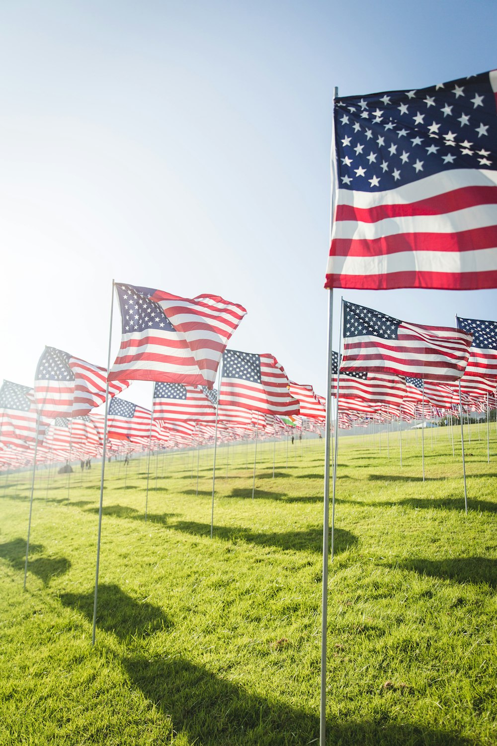 flag of America lot on grass field