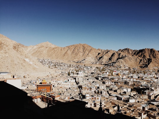 high-angle photography of urban area in Leh India