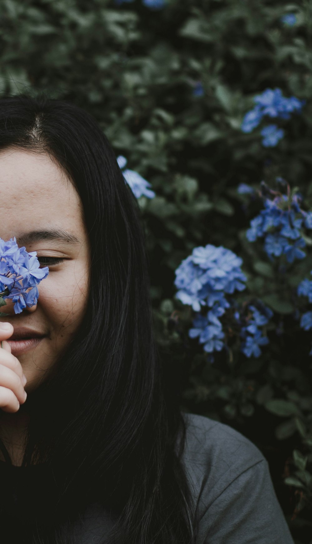 woman holding purple hydrangeas flower