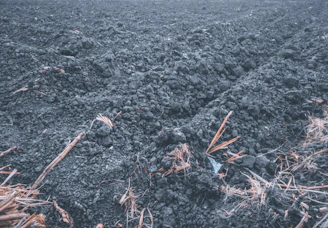 Close-up of sturdy metal plows resting on rich, dark soil