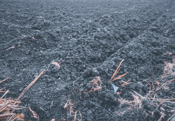 Close-up of sturdy metal plows resting on rich, dark soil