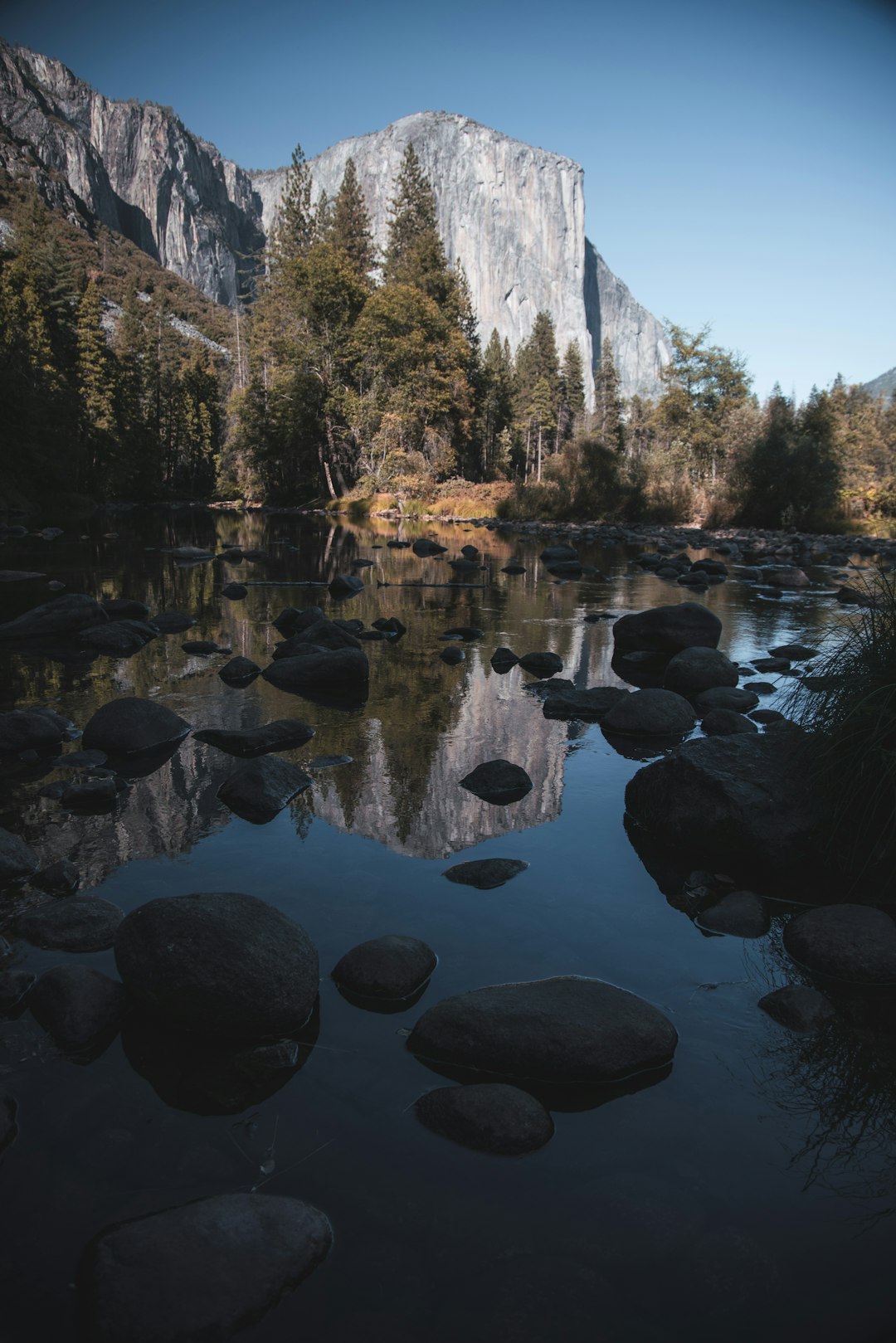 Yosemite National Park