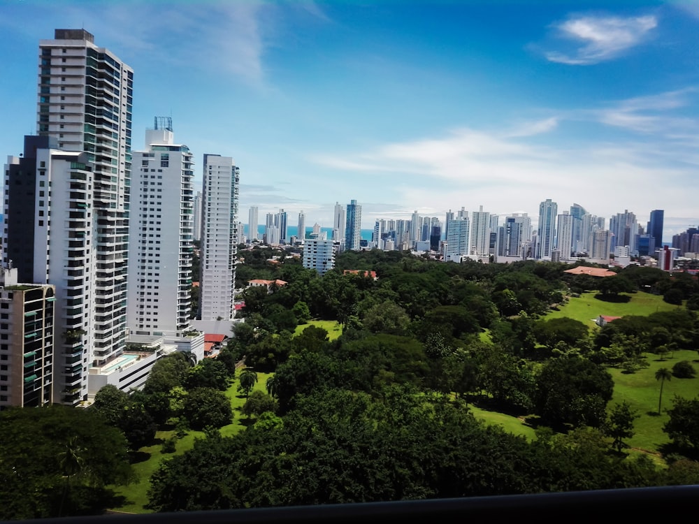 aerial photography of buildings