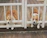 Two brown and white Corgis are resting their heads between the bars of a white fence. They are positioned side by side on a wooden deck, looking relaxed and slightly amused. The fence separates the dogs from the rest of the area.