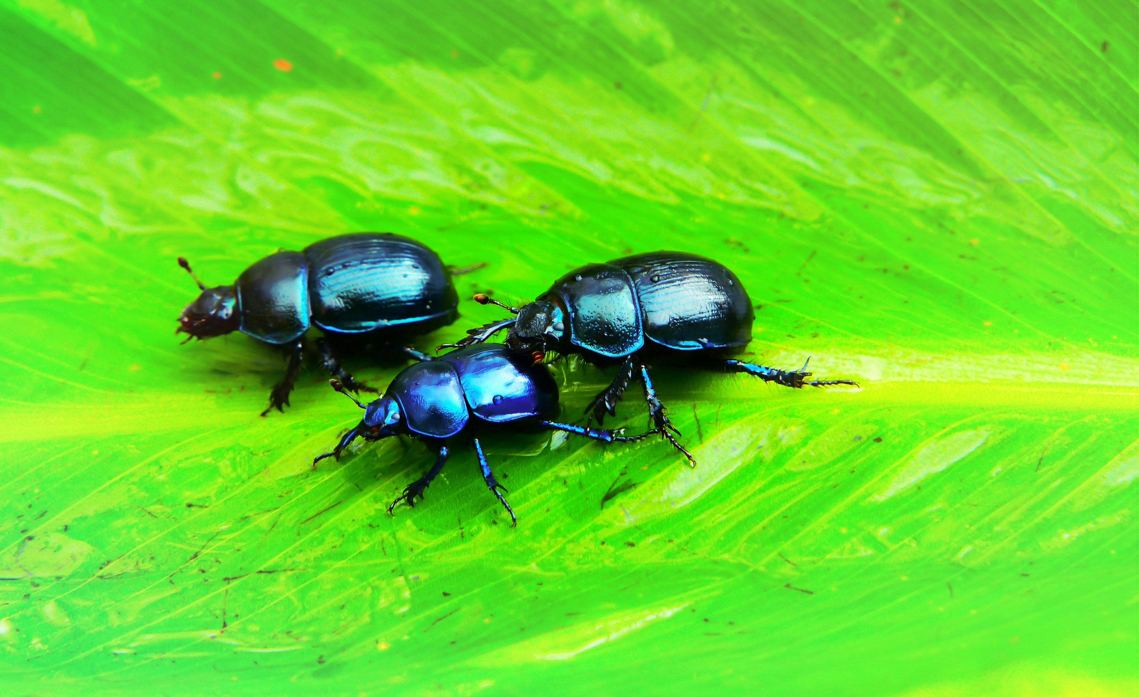 Bugs in software and what we can do about it