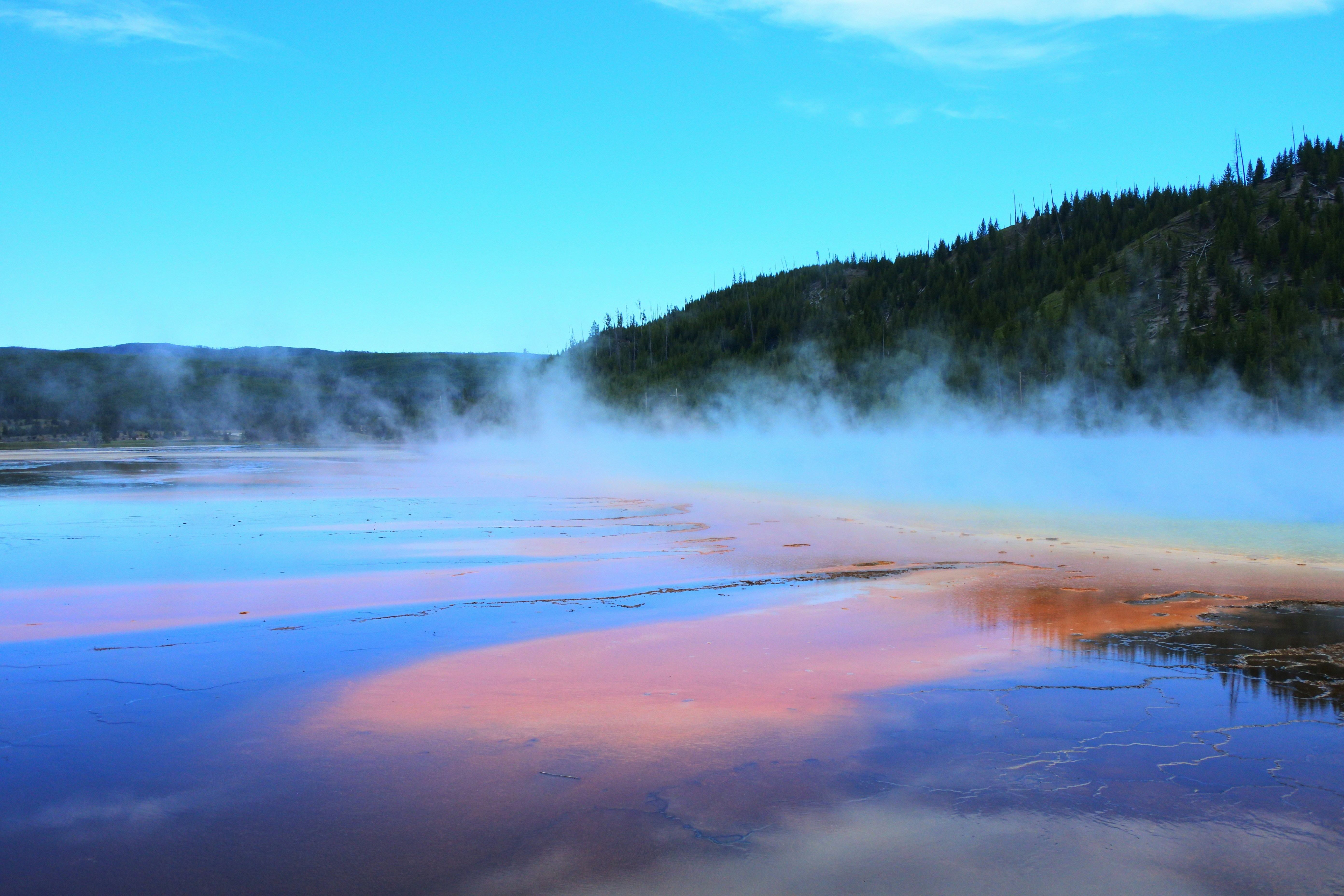 Photo by vikingjuice