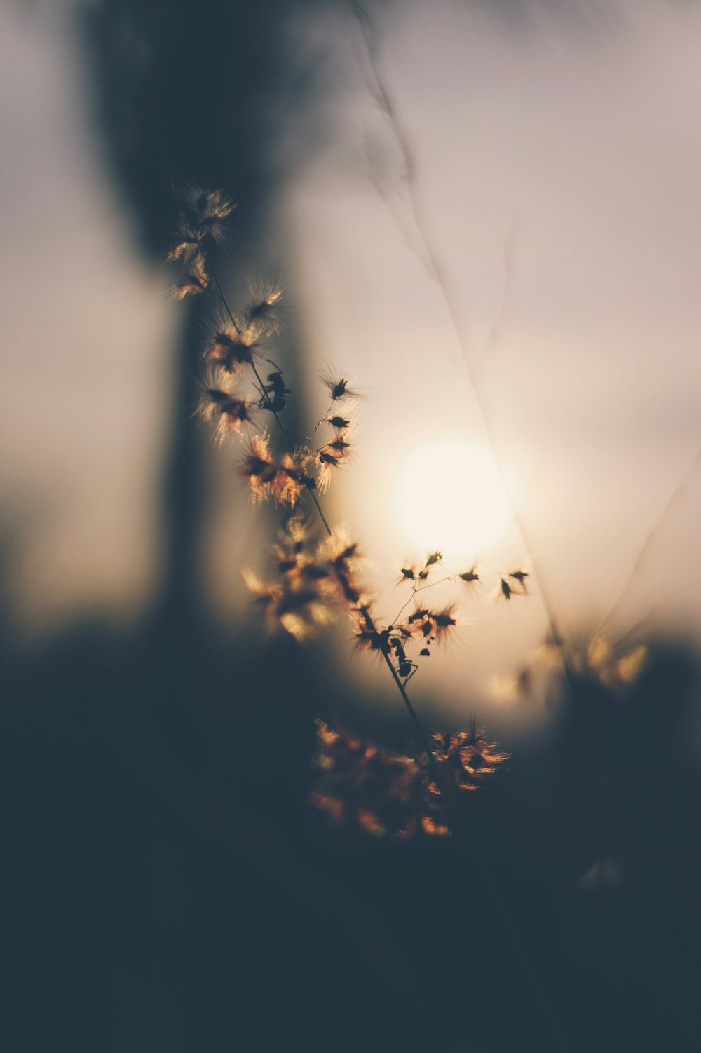 selective focus photo of flower