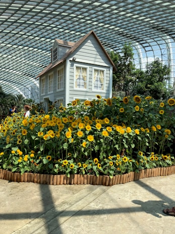 Sunlit porch of the garden cottage with comfortable seating and blooming flowers.