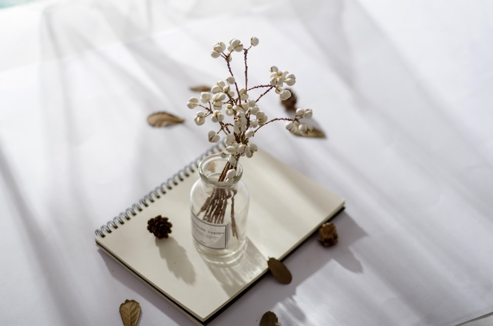 faux white berries in clear glass vase on top of notebook