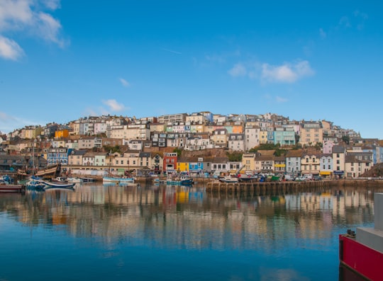 multicolored color concrete buildings near body of water in Brixham Harbour United Kingdom