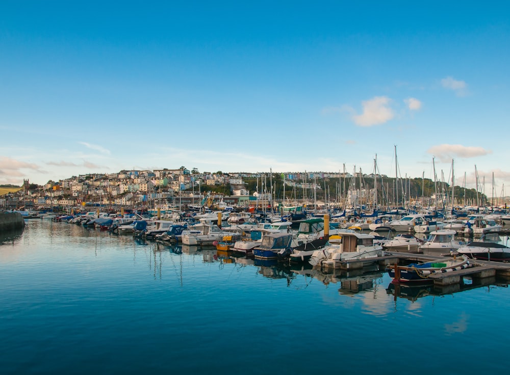 boats on body of water